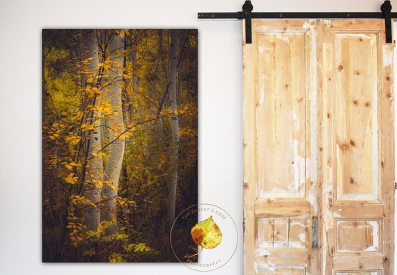 Aspen Trees Aspen Trees Fall Fall Tree Decor Colorado Art Cabin Decor Fall Aspen Forest Aspens Fall Aspen Art Forest Of My Dreams