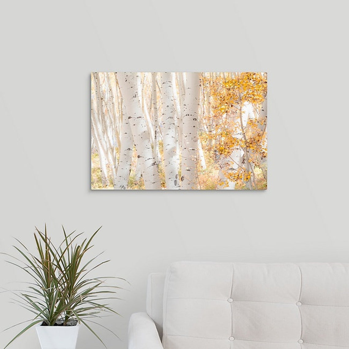 Aspen Tree Wall Art Fall Decor Colorado Art Aspen Trees Etsy