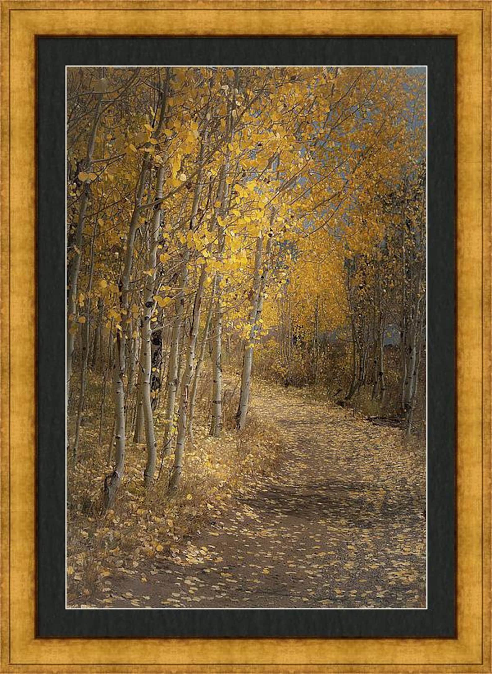 Fall Aspen Trees Pathway Fall Tree Decor Colorado Art - Etsy