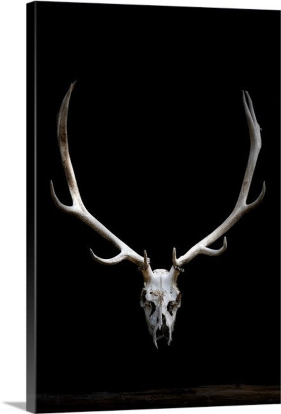 Elk Antlers Antler Art Photo Colorado Elk Antlers Picture - Etsy Elk Antlers Antler Art Photo Colorado Elk Antlers Picture - Etsy