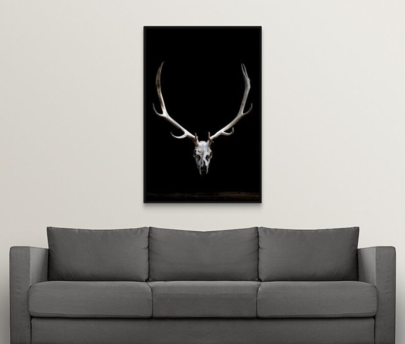 Elk Antlers Antler Art Colorado Elk Antlers Skull Animal Etsy