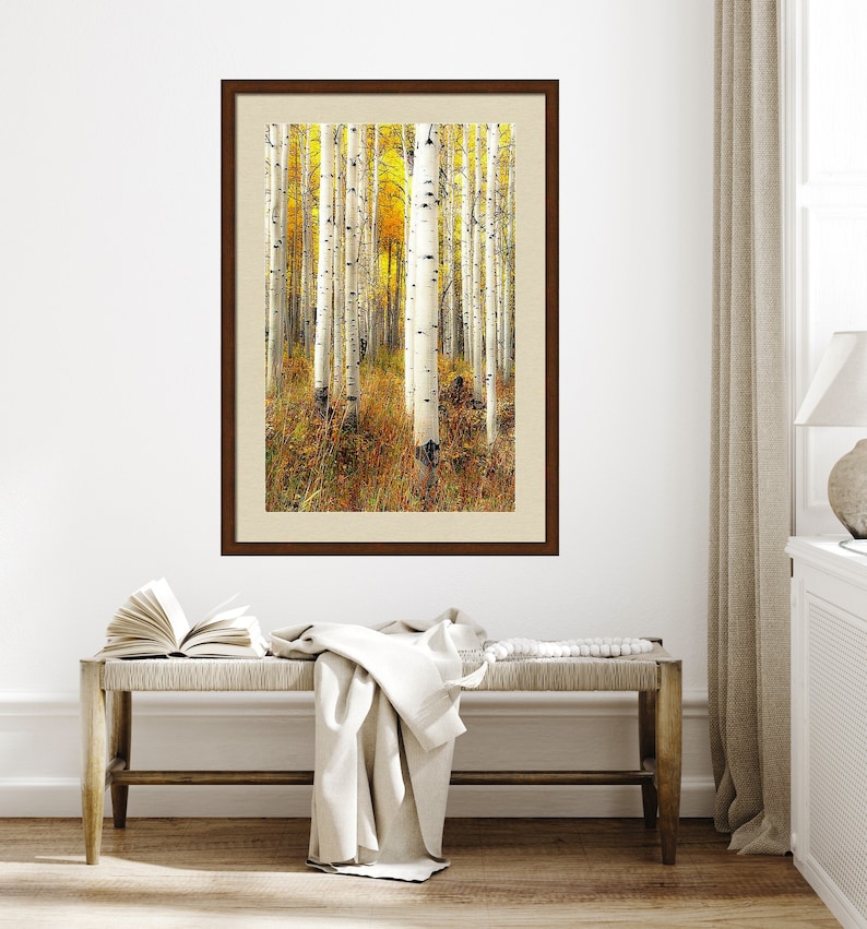 Fall aspen trees, colorful Colorado, Colorado art, fall aspen forest, beautiful fall trees, aspens art, fall aspen art Perfection image 3