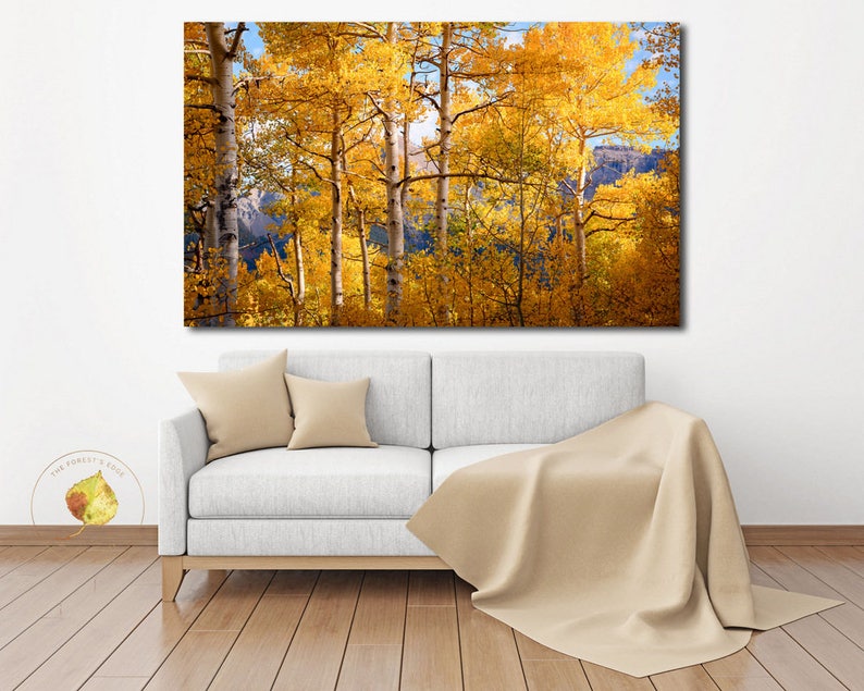 Aspen Trees Fall Fall Tree Photo Aspen Tree Decor Colorado - Etsy