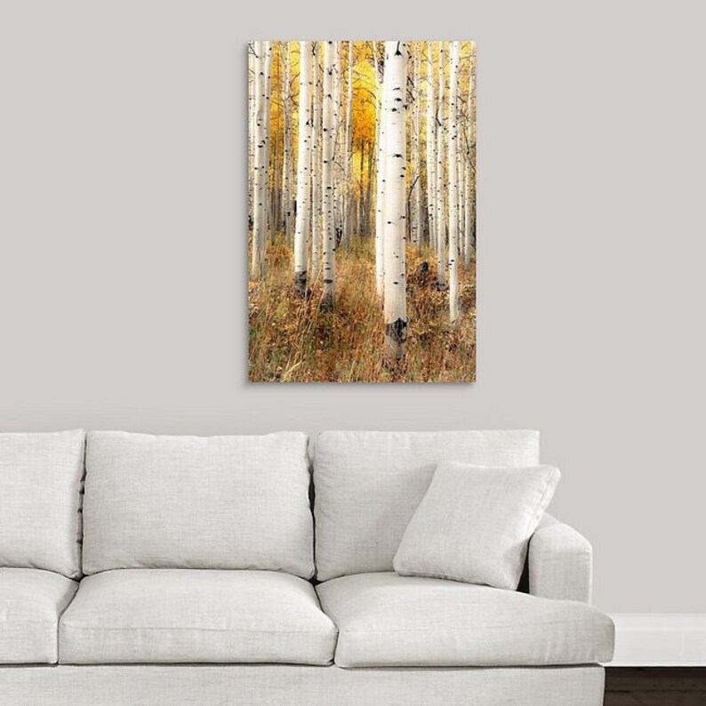 Fall aspen trees, colorful Colorado, Colorado art, fall aspen forest, beautiful fall trees, aspens art, fall aspen art Perfection image 5