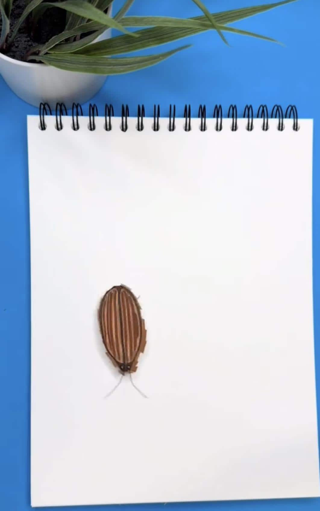 Paper Cockroach Robot Template, STEAM DIY Project (digital Download) - Etsy