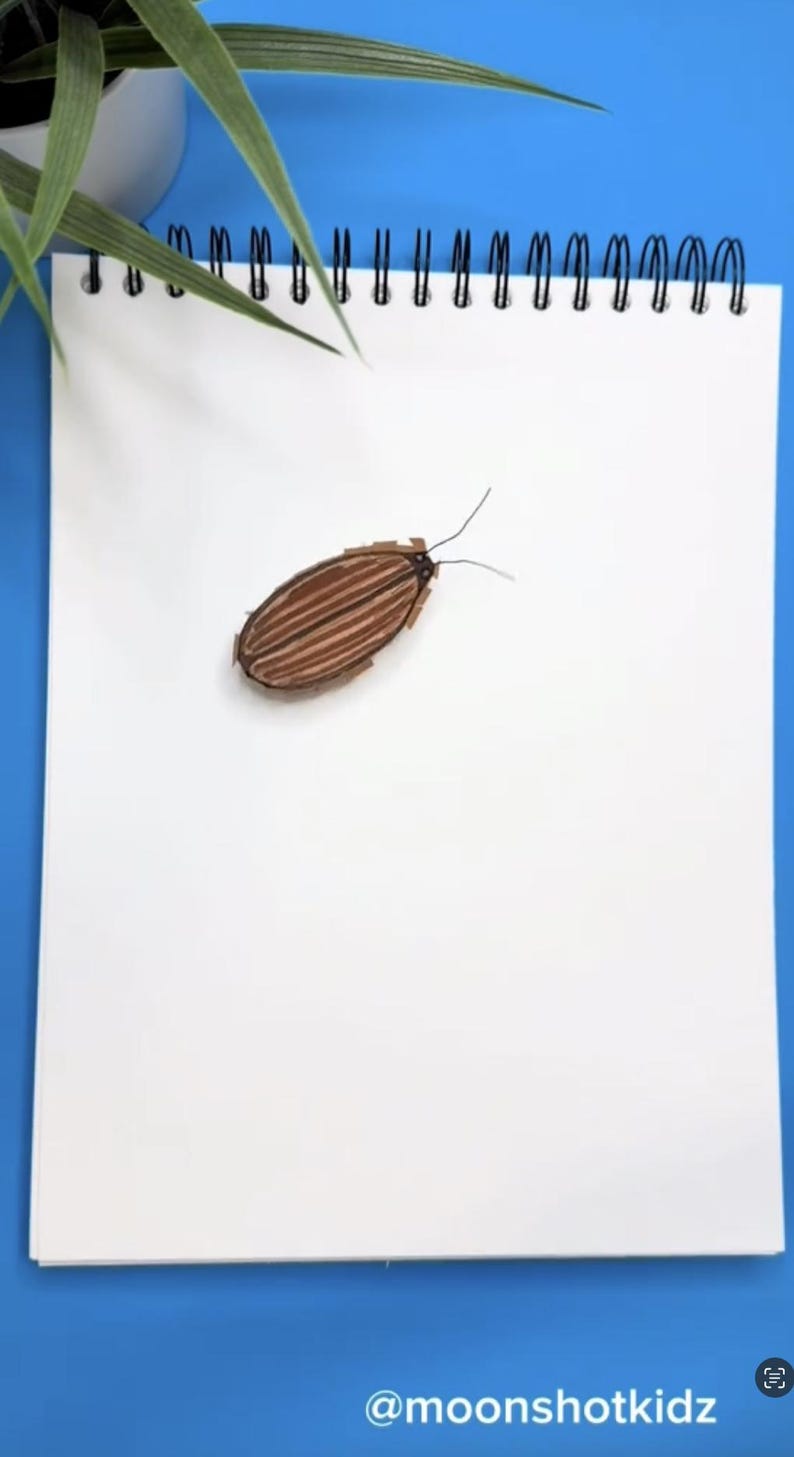 Paper Cockroach Robot Template, STEAM DIY Project (digital Download) - Etsy
