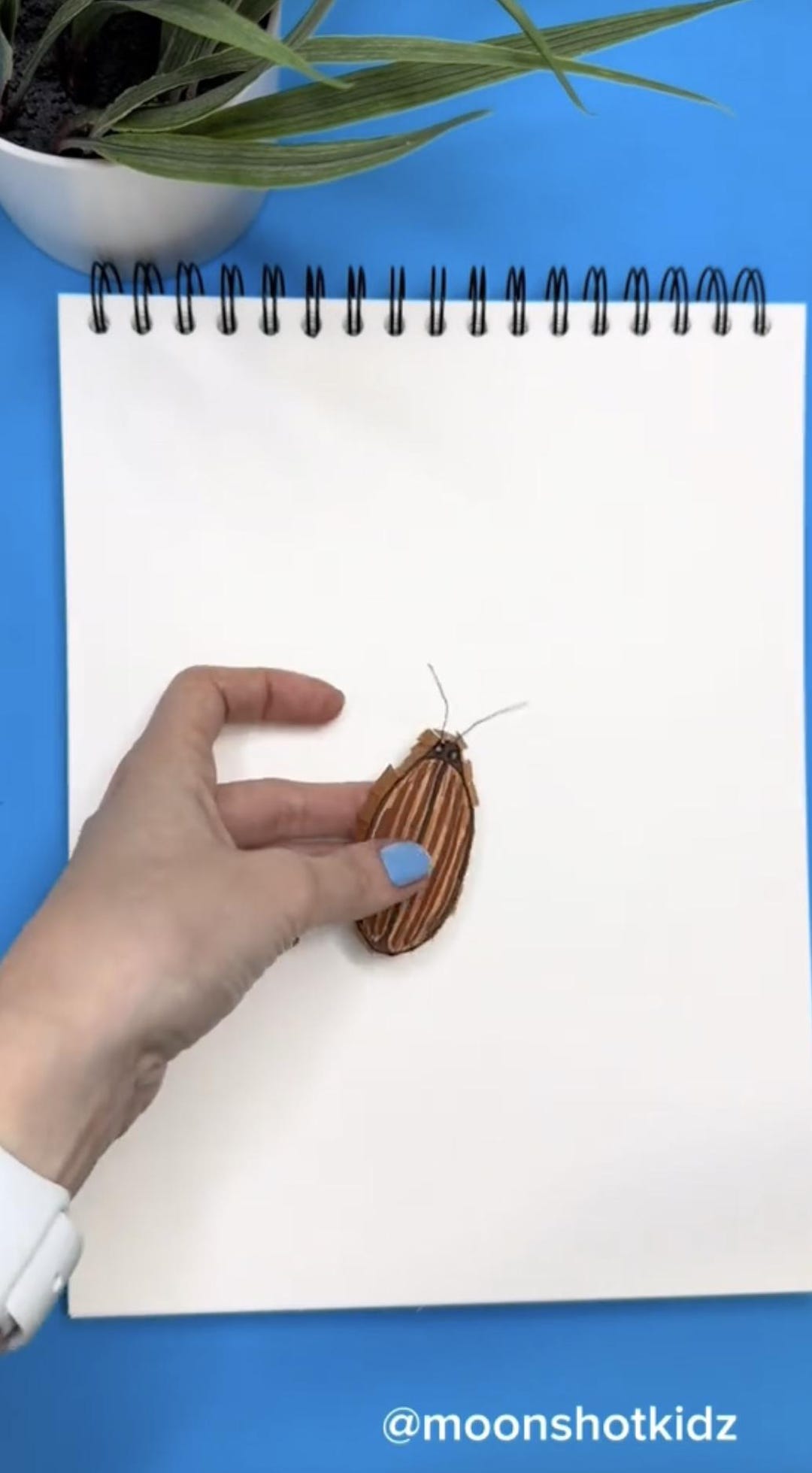Paper Cockroach Robot Template, STEAM DIY Project (digital Download) - Etsy