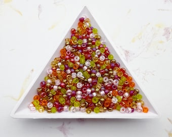 Miyuki 8/0 Tango Seed Bead Mix: Pink, Raspberry, Green, Orange
