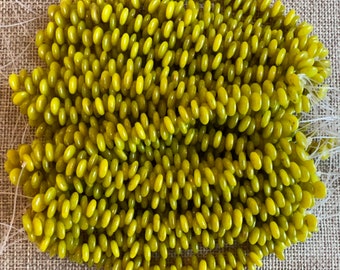 50 Gold Marbled Chartreuse Czech Glass Lentil Beads (6mm)