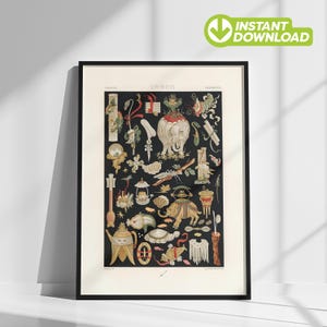 Vintage Chinese Illustrations Print, Antique 19th Century Asian Wall Art, Instant Digital Download Print for Modern Eclectic Home Decor