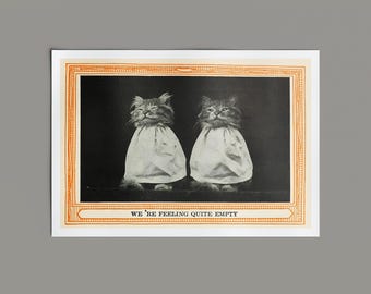 Vintage Cat Print | Two Cute Kittens | Eclectic Home Wall Decor