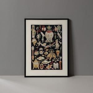 Framed Vintage Print | Chinese Illustrations | Antique 19th Century Design Asian Wall Art for Modern Eclectic Home Decor