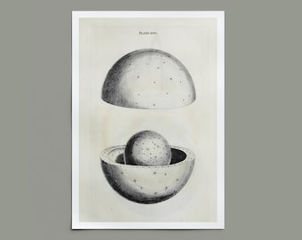 Vintage planeet illustratie print - antieke astronomie muurkunst - modern eclectisch ruimtedecor