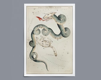 Vintage Constellation Print | Niebiańska dekoracja ścienna do eklektycznych przestrzeni