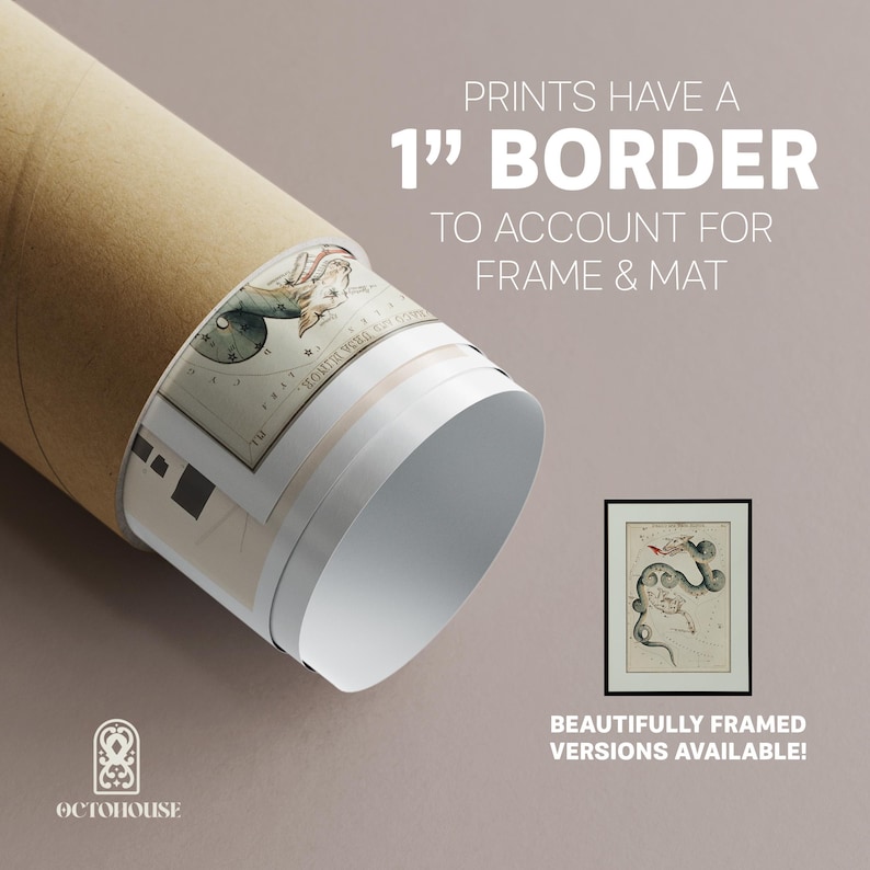May include: A rolled-up print of a vintage astronomical illustration of a constellation. The print has a 1-inch border to allow for framing. The text "PRINTS HAVE A 1" BORDER TO ACCOUNT FOR FRAME & MAT" is displayed above the image. The text "BEAUTIFULLY FRAMED VERSIONS AVAILABLE!" is displayed below the image.