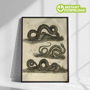 Vintage Snake Print, Instant Digital Download Antique Serpent Wall Art, Printable Modern Eclectic Home Decor