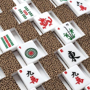 Leopard American Mahjong Tiles Set, Acrylic Mahjong Tiles with Cheetah Print Backs, 166 Piece Tile Game Gift for Players, 166 pieces image 1