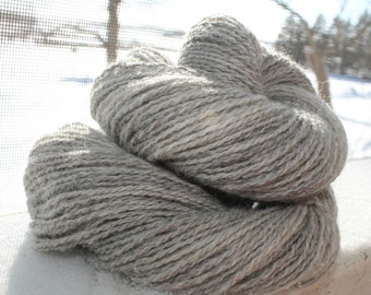 Handspun Yarn CVM Wool/Angora 2-ply fingering wt. silver gray plus Free Pattern
