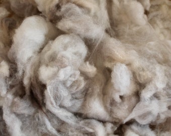 CVM-Romeldale Washed Locks - wool fiber - hand spinner fiber - clean wool fleece