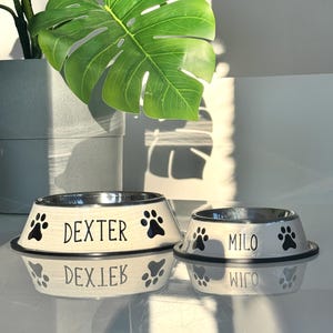 Personalized Dog Bowl - Custom Stainless Steel Pet Dish
