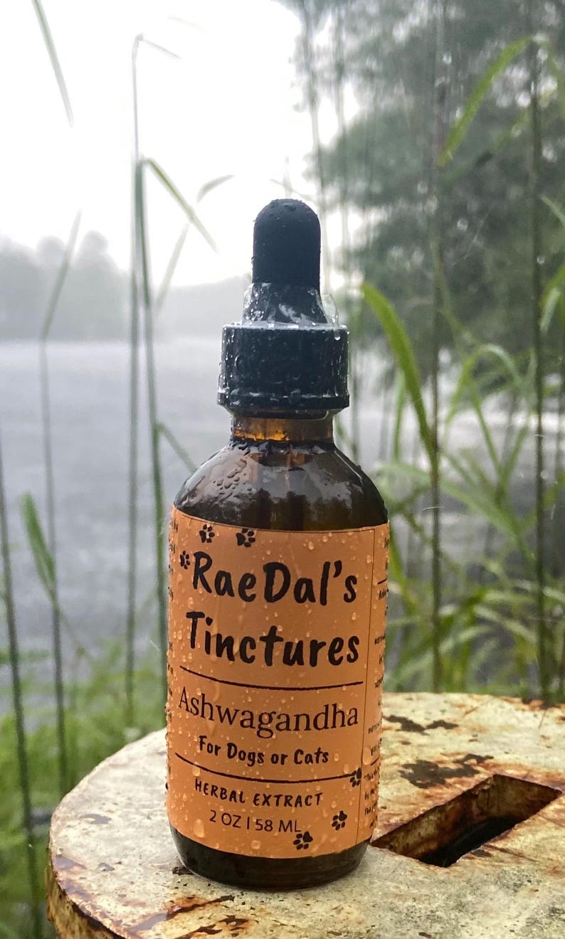 May include: A brown glass bottle of Rae Dal's Tinctures Ashwagandha herbal extract for dogs or cats. The label is orange with black text and paw prints. The bottle has a black dropper top and is 58 ml.