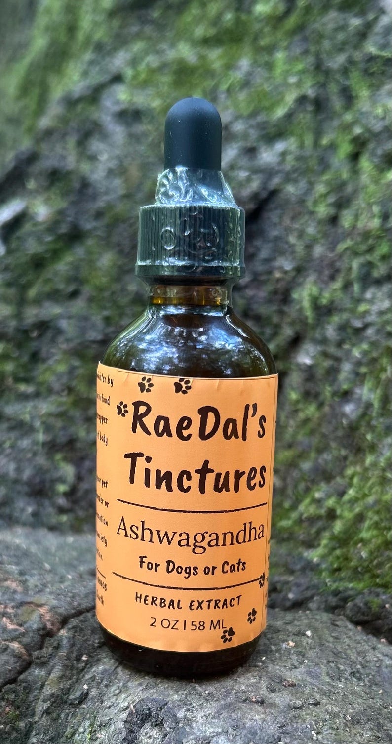 May include: A brown glass bottle of Rae Dal's Tinctures Ashwagandha for dogs or cats. The bottle has a black dropper and an orange label with white text. The label reads "Herbal Extract 2 OZ | 58 ML".