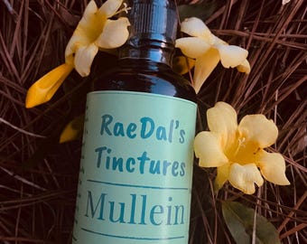 Homegrown Mullein Tincture: Organic Herbal Extract