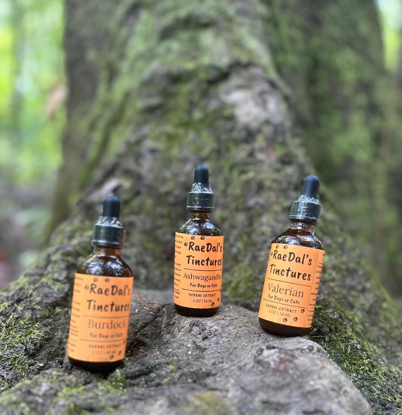 May include: Three amber glass bottles with black droppers, labelled "Rae Dal's Tinctures." The labels read "Burdock," "Ashwagandha," and "Valerian," with text indicating they are herbal extracts for dogs or cats. The bottles are on a mossy surface.