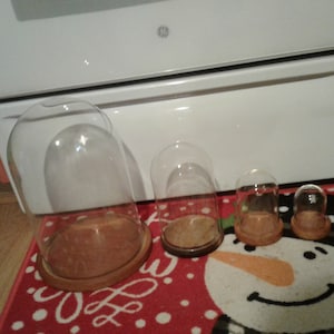 Clear Glass Cloche with Brown Wood Base: Collectible Display Dome