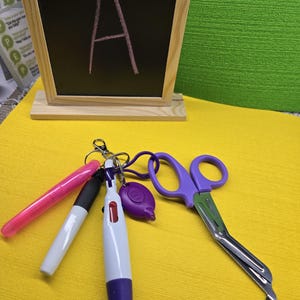 Nurse Essential Bundle: Badge Reel Set Pen, scissors,mini marker, highlighter, mini nurse light, dry erase marker colorful set.