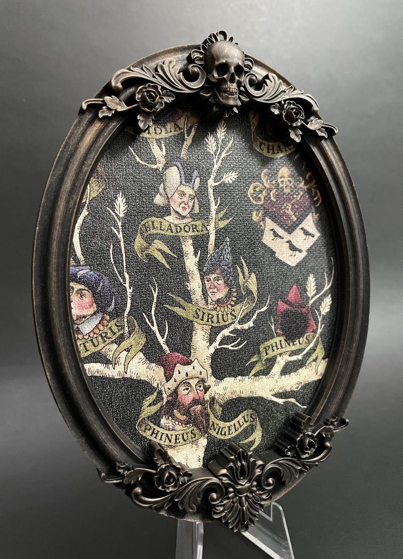 May include: A black oval frame with ornate gold accents and a skull at the top. Inside the frame is a black and white family tree with the names "Turius", "Bellaдора", "Sirius", "Phineus", and "Phineus Nigellus" written on it.