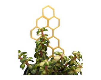 3D Printed Honeycomb Plant Trellis: Indoor Plant Support