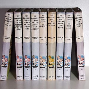 Das Bobbsey Twins Buch, wählen Sie Ihr Buch, Hardcover Mystery Book, Laura Lee Hope