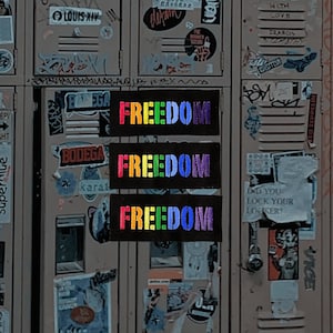 Freedom Rainbow Patch / Raw Edge / Sew On