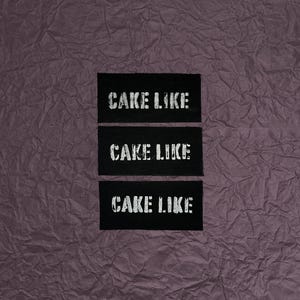Cake Like Patch / Raw Edge / Sew On