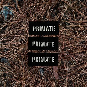 May include: Three black rectangular patches with the word "PRIMATE" in white, block letters. The patches are arranged vertically against a background of brown pine needles.