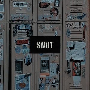 May include: A close-up of a series of lockers covered in stickers and graffiti. The word "SNOT" is displayed in a black rectangle. The lockers are a muted brown color, with various stickers and tags.