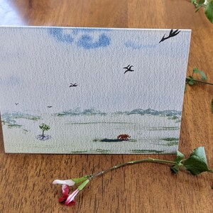 Carte cadeau - dinosaures