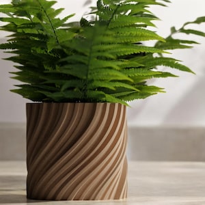 May include: A green fern plant in a brown, wavy, wooden planter.