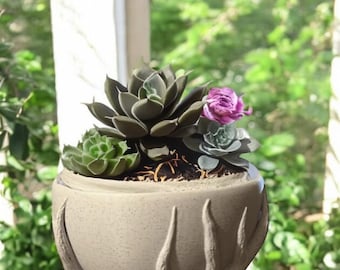 May include: A grey ceramic planter with a distinctive tree branch design supporting the bowl. The planter contains several succulents with green and purple hues. The planter sits on a wooden surface.