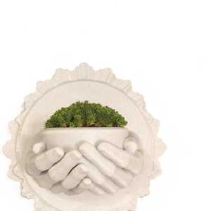 May include: White ceramic wall planter shaped like two hands holding a small pot with green moss growing inside. The planter is surrounded by a decorative oval frame.