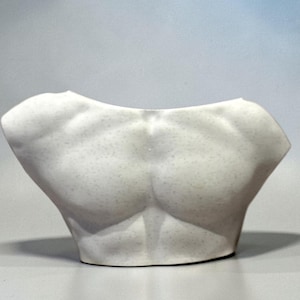 May include: A white, sculpted bust of a male torso. The sculpture features detailed musculature, including the chest and upper abdomen. The surface has a speckled texture, and the piece is set against a neutral background.