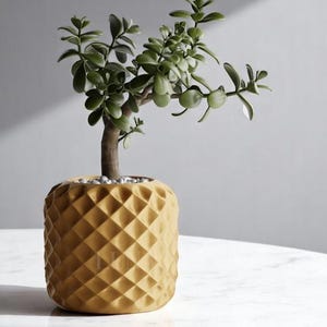 May include: A small green plant in a yellow, textured ceramic pot. The pot has a diamond pattern.