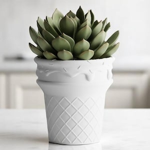 May include: A white ceramic planter shaped like an ice cream cone, filled with a green succulent plant. The planter has a textured diamond pattern on the cone and a dripping design at the top. The plant is centered on a white surface.