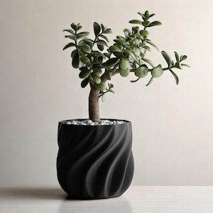 May include: A small green plant with thick leaves in a black, swirl-patterned ceramic pot. The pot is sitting on a white surface.
