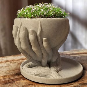May include: A concrete planter shaped like two hands holding a bowl. The planter is a light gray color and has a rough texture. The bowl is filled with small white flowers and green foliage.