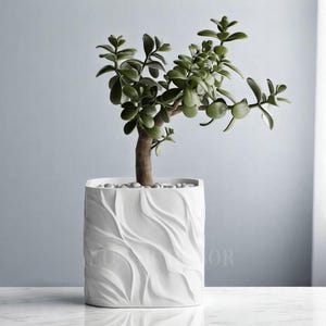 May include: A white ceramic planter with a wavy, textured design. A small green plant with a thick trunk is growing in the planter.