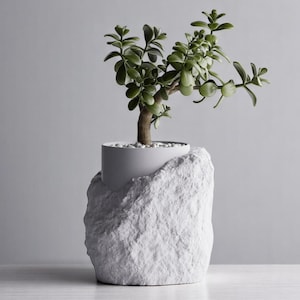May include: A small green plant in a white pot, sitting inside a white, rock-shaped planter.