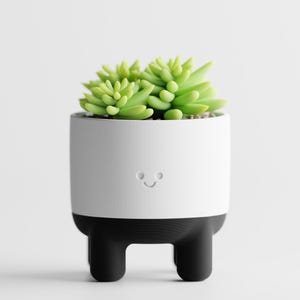 Cute Happy Planter with Legs, Mini Smiley Face Pot, Succulent, Cacti, Airplant, Desk Decor, Kawaii Plant Holder Gift for Plant Lovers, Kids