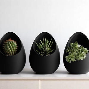May include: Three black, egg-shaped planters with different succulents. The first contains a green cactus, the second a spiky plant, and the third has leafy greens. The planters sit on a white surface.